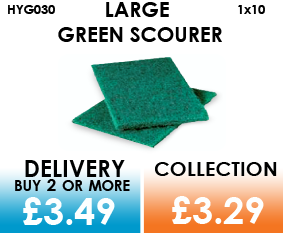 large green scourer